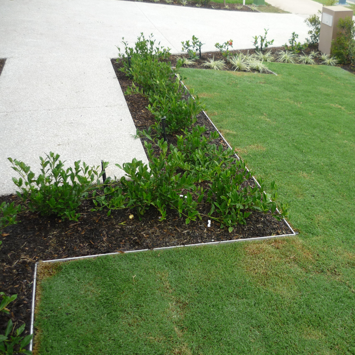 Hedge Garden Edging - Edge Pro+